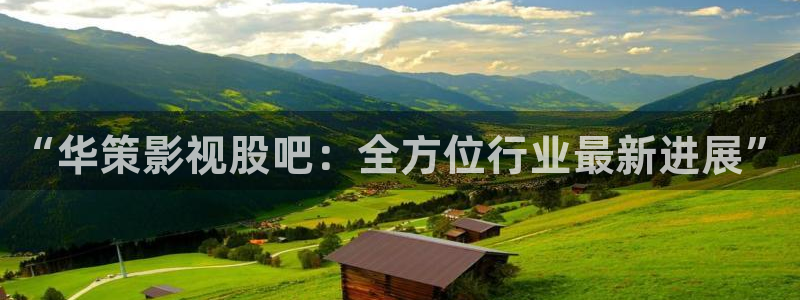 新神马电影网