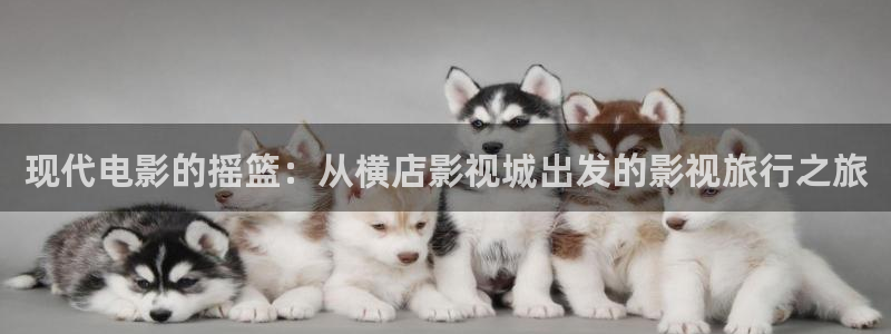 神马手机影院我不卡