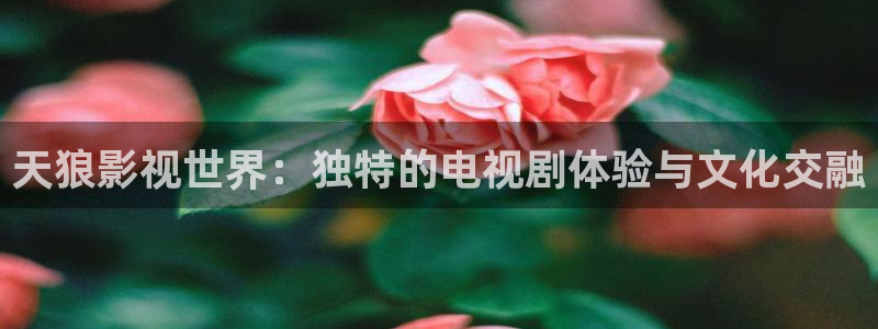 老子神马电影