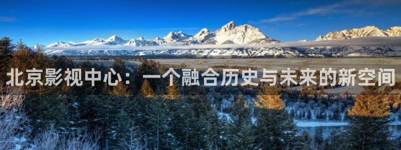 神马影视手机在线