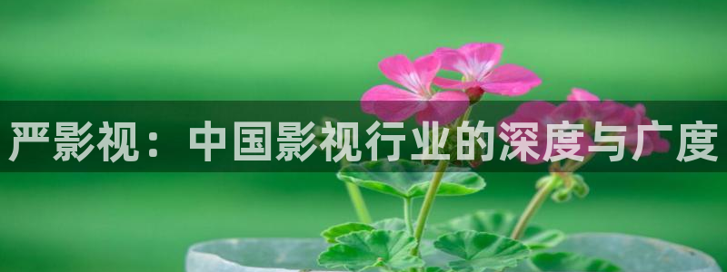 神马影院 第九