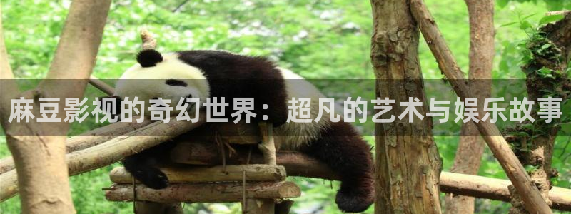 神马影院小蜜桃