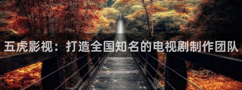 dy888神马我不卡