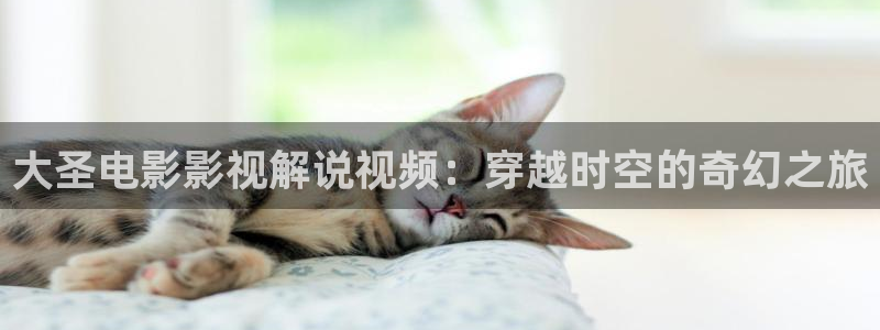 神马电影免费影视