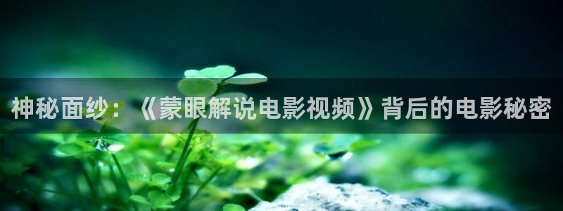 神马手机午夜伦理