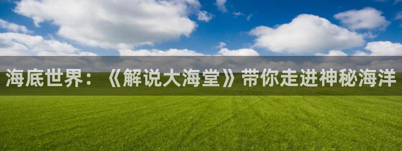 神马电影在线观看我不卡