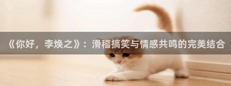 神马影院手机在线观看电影