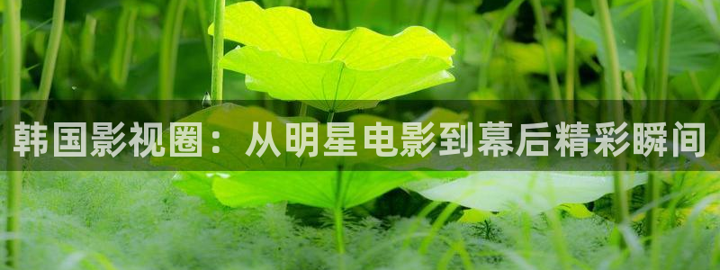 神马影院在线观看?