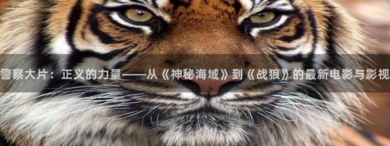 神马影院伦理网