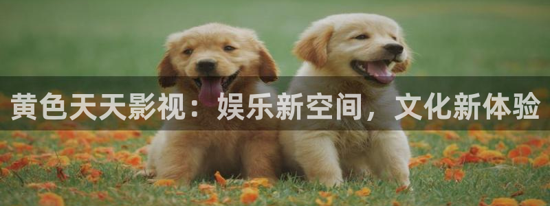 神马影院软件下载