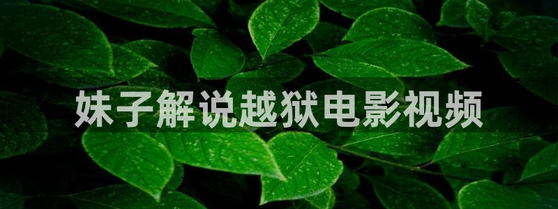 神马不卡我不卡