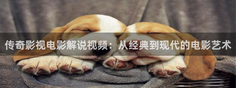 无敌神马影院影视