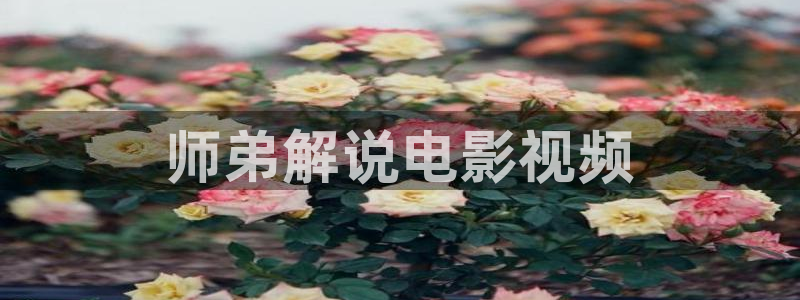 神马影视第九