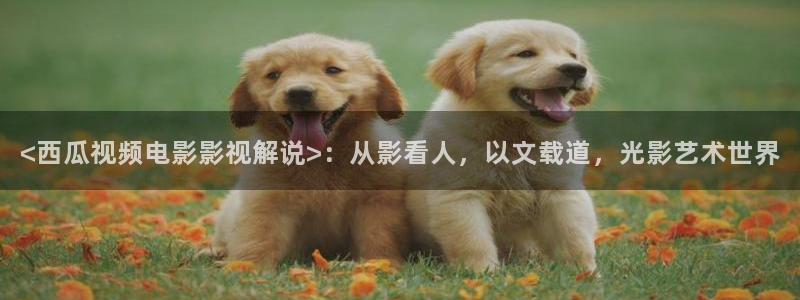 伦理神马影院在线观看
