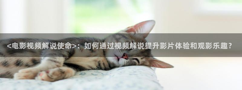 神马顶级免费推理电影