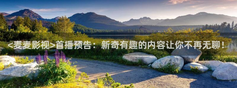神马电影网电影院第九