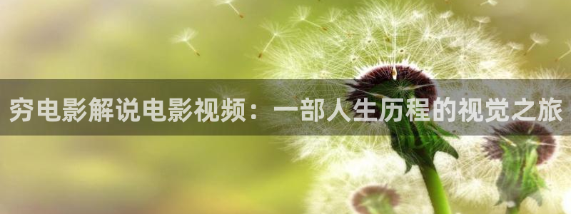 神马电影网午夜shi果