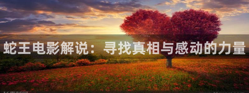 神马影院韩国三级
