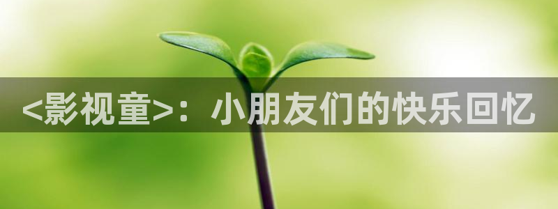 神马电影西瓜