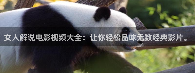 神马中文不卡