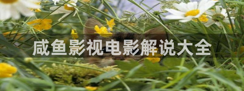 神马影院妻子的朋友