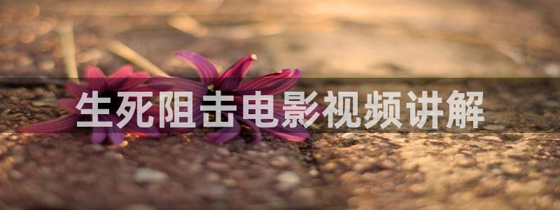 神马飘雪电影免费全集完整版