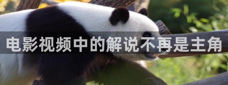 神马影院伦理我不卡1