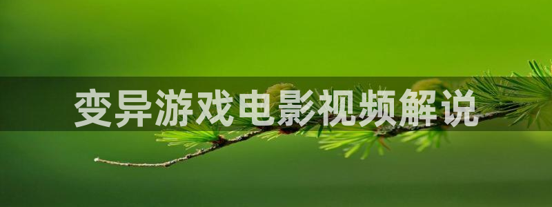 神马电影网站伦理