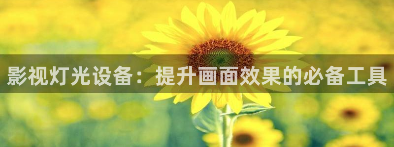 神马电影网免费完整版
