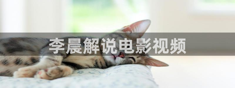 神马网伦理