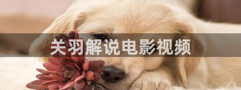 神马电影院电视剧