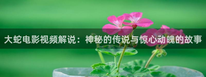 神马影院手机在线看