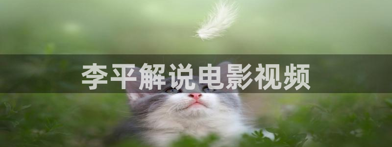 看神马手机未来影院
