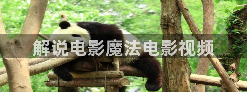神马影院在线观看2