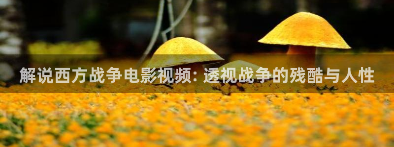 神马手机影院不卡