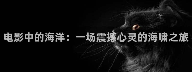 神马影院妻子的情人