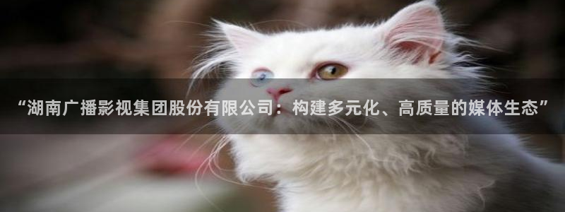 神马电影网不卡