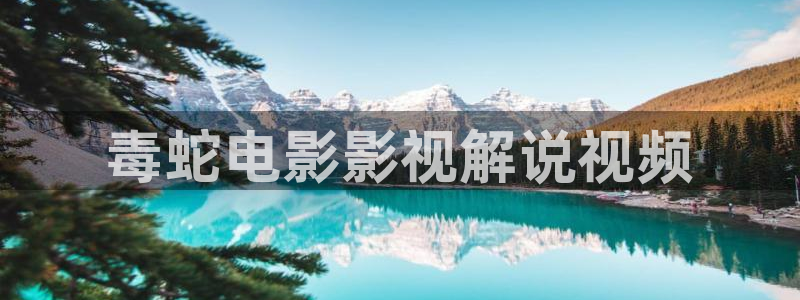 神马影院 在线观看