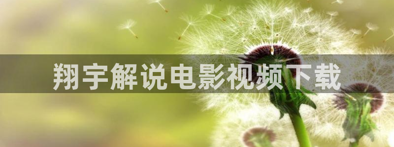 原神马特片