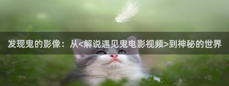 久久神马影院
