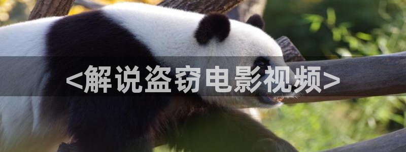 新视觉神马影院