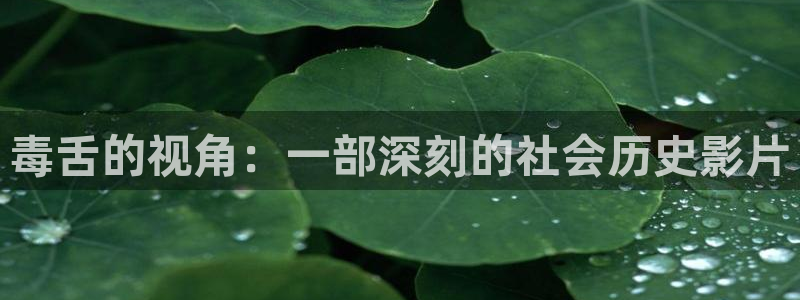 神马电影2022