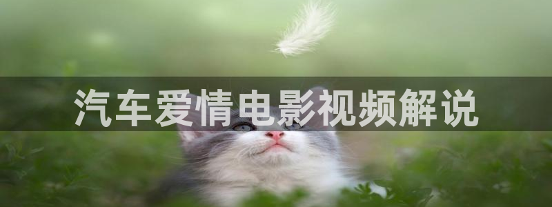 神马在线影视影院