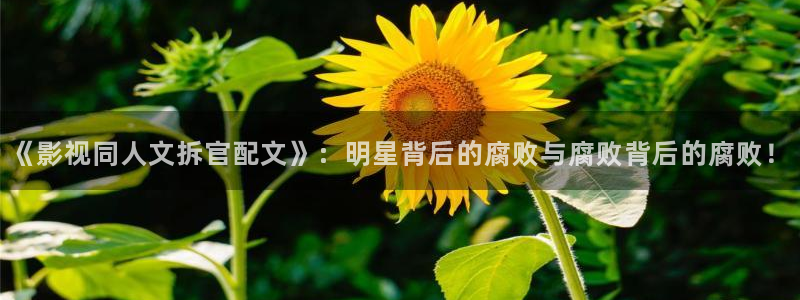 神马电影院免费观看