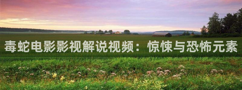 神马影院电视剧免费观看完整版是什