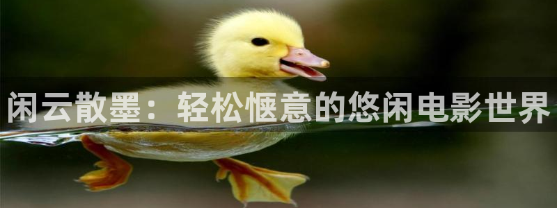 神马影院真心