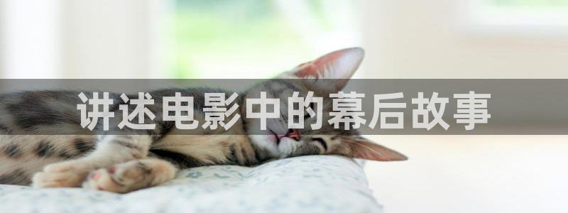 姐妹神马影院