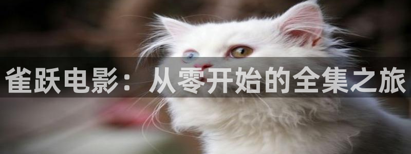 神马电影院午夜达达兔