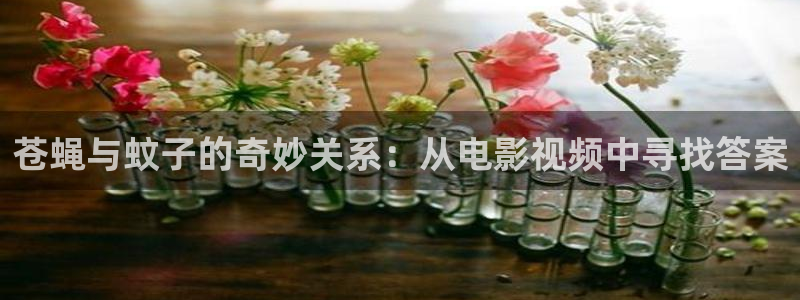 神马手机免费理论电影