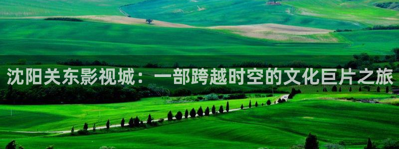 神马影院电视剧免费观看完整版长